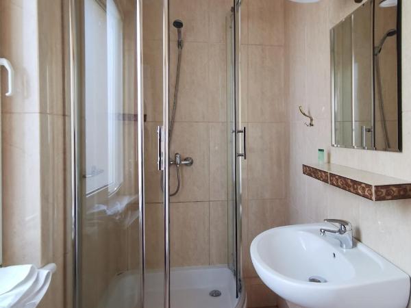 Hotel Zieliniec : photo 3 de la chambre chambre simple