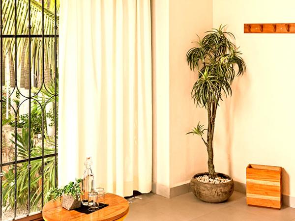 Mezcal Hostel : photo 4 de la chambre chambre double deluxe