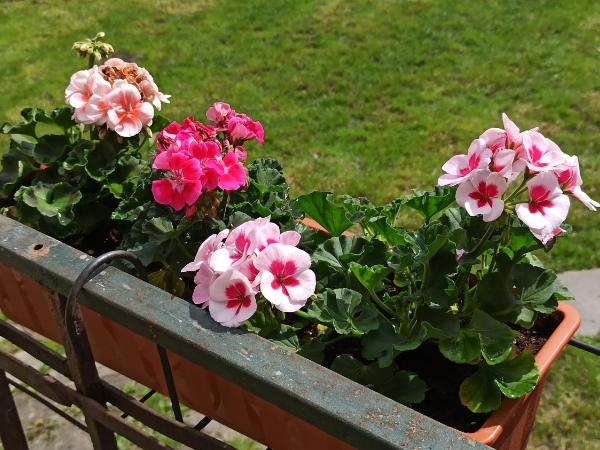 Willa Retro Hostel : photo 9 de la chambre lit dans dortoir mixte de 8 lits 