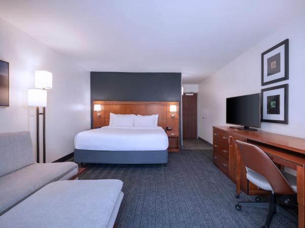 Courtyard Tampa North / I-75 Fletcher : photo 3 de la chambre chambre king avec canapé-lit et balcon