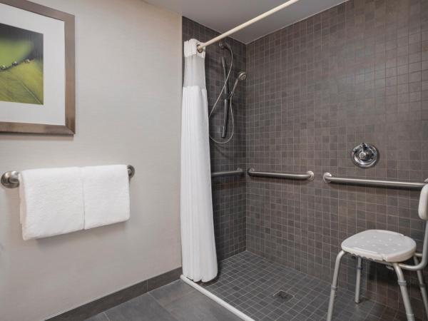 Courtyard Tampa North / I-75 Fletcher : photo 1 de la chambre king room with sofa bed and transfer shower - mobility and hearing accessible