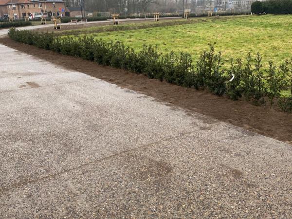 Homestay Mimi's Rental : photo 2 de la chambre maison d’hôtes