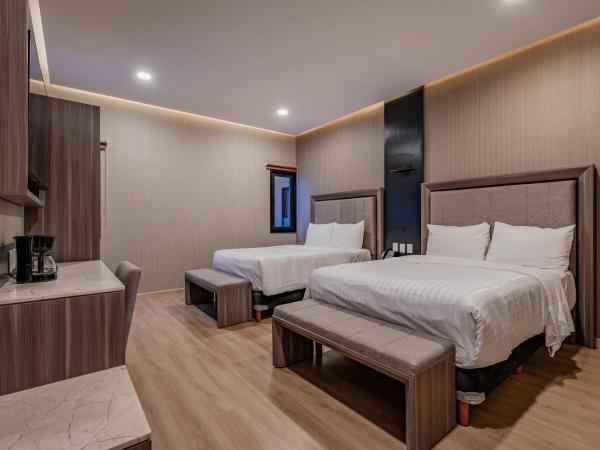 Hotel Kavia Premium - Paseo Montejo : photo 2 de la chambre chambre double deluxe