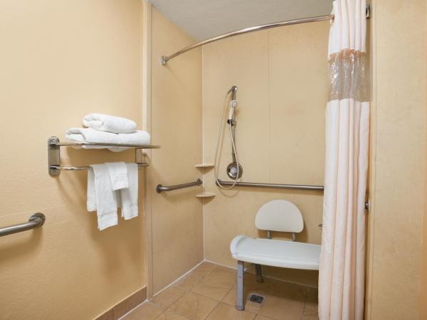 Days Inn by Wyndham Jacksonville Airport : photo 7 de la chambre chambre lit king-size avec douche accessible en fauteuil roulant - adaptée aux personnes à mobilité réduite/non-fumeurs