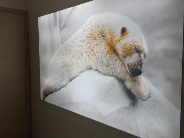 Les Loges Du Parc : photo 8 de la chambre suite avec sauna - vue sur lac - ours