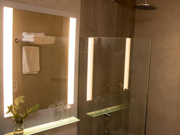 Hotel Tres Reyes : photo 3 de la chambre chambre double ou lits jumeaux - vue sur lac