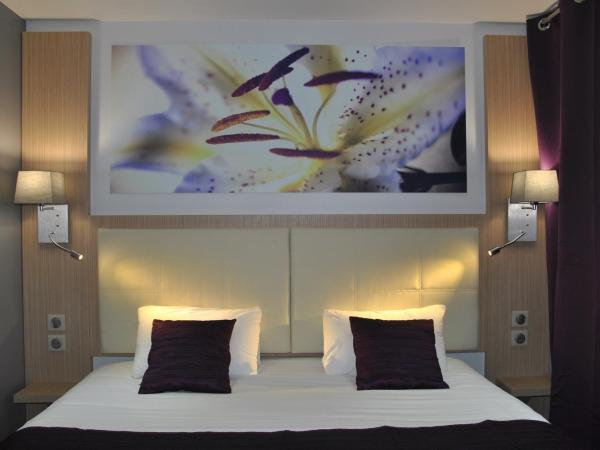 FH Confort Hotel Orléans Co'met : photo 6 de la chambre chambre double