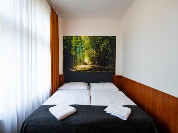 Hotel Zlatá Váha : photo 1 de la chambre chambre double classique