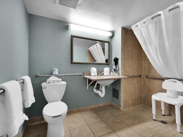 Ramada by Wyndham Jacksonville I-95 by Butler Blvd : photo 3 de la chambre deluxe king room with roll-in shower - mobility accessible/non-smoking - newly renovated!