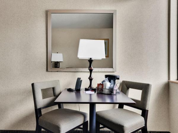 Ramada by Wyndham Jacksonville I-95 by Butler Blvd : photo 10 de la chambre deluxe king room with roll-in shower - mobility accessible/non-smoking - newly renovated!