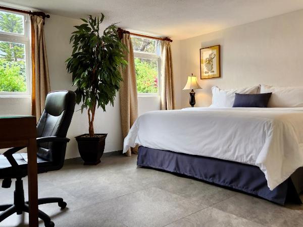 Casa Tamayo : photo 2 de la chambre chambre double - vue sur jardin