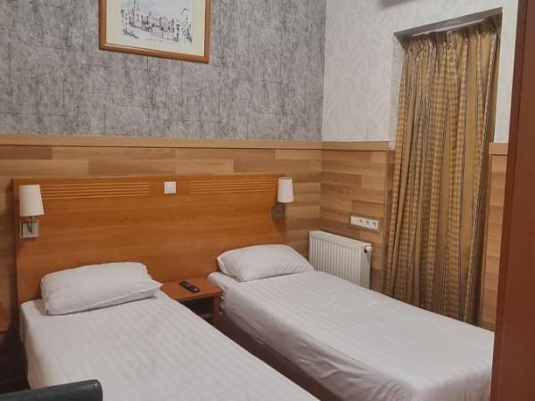 Hotel Isis : photo 2 de la chambre chambre lits jumeaux pour personnes à mobilité réduite