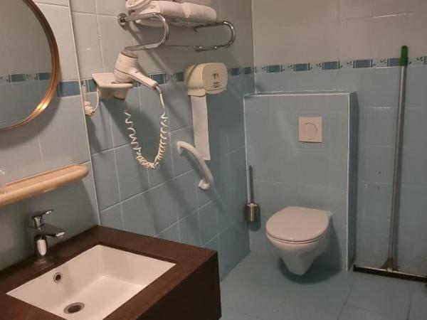 Hotel Isis : photo 1 de la chambre chambre lits jumeaux pour personnes à mobilité réduite
