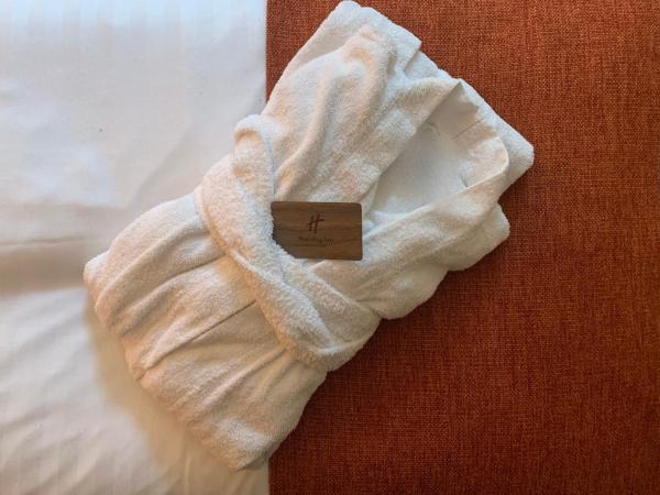 Holiday Inn - Salzburg City, an IHG Hotel : photo 10 de la chambre hébergement premium avec 2 lits simples