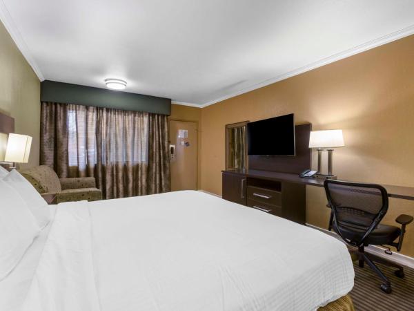 Best Western Royal Sun Inn & Suites : photo 2 de la chambre suite lit king-size avec douche accessible en fauteuil roulant - non-fumeurs