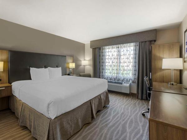 Best Western Plus Nashville Airport Hotel - BNA : photo 3 de la chambre chambre lit king-size