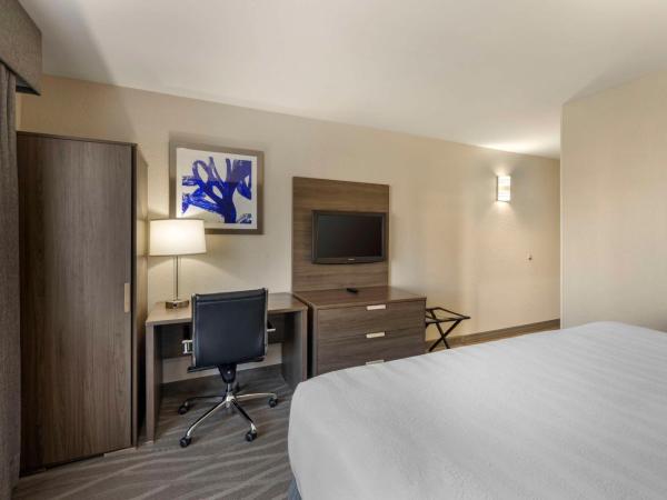Best Western Plus Nashville Airport Hotel - BNA : photo 2 de la chambre chambre lit king-size