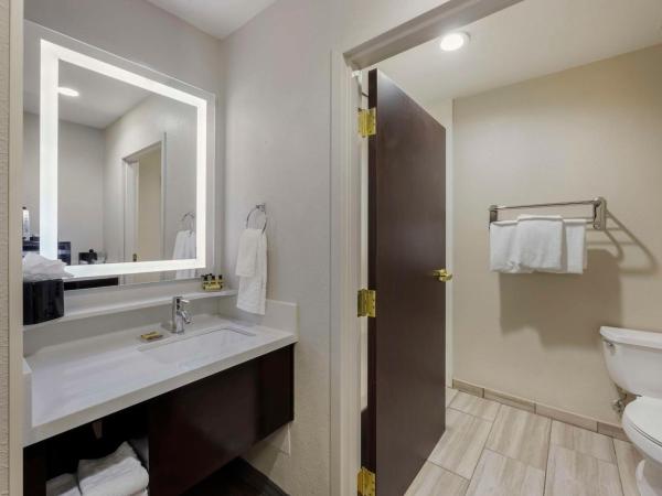 Best Western Plus Nashville Airport Hotel - BNA : photo 4 de la chambre chambre lit king-size