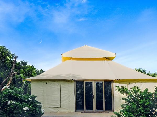 Angirasa Luxury Camping : photo 9 de la chambre tente