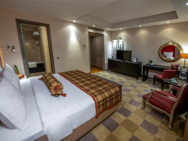 Agaoğlu My City Hotel Istanbul : photo 1 de la chambre chambre standard