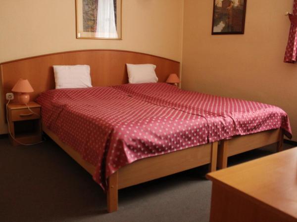 Hotel Blaha Lujza : photo 5 de la chambre chambre double climatisée