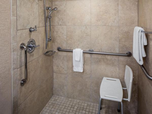 Indianapolis Marriott East : photo 5 de la chambre chambre lit king-size