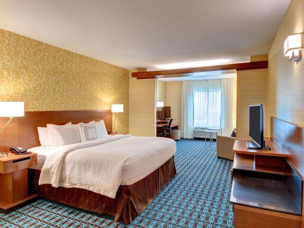 Fairfield Inn & Suites by Marriott Nashville Downtown-MetroCenter : photo 3 de la chambre suite lit king-size