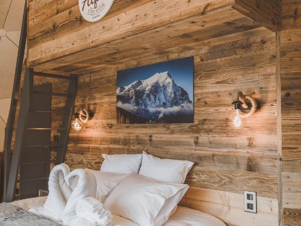 Alpin D'Hôme Hôtel & Spa : photo 2 de la chambre d'hôme famille