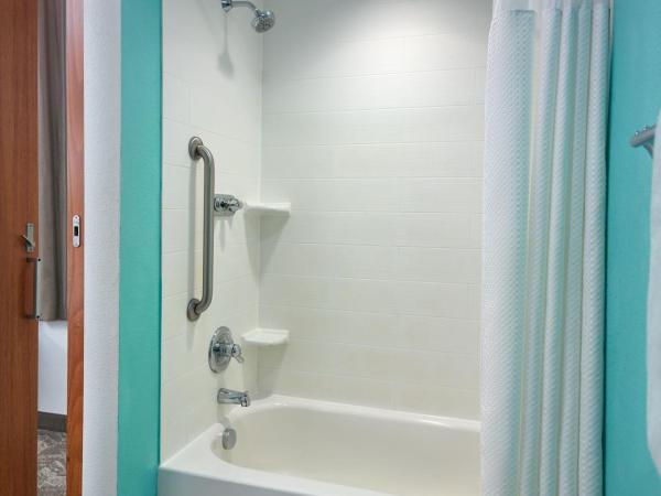 SpringHill Suites by Marriott Orlando at SeaWorld : photo 4 de la chambre studio lit queen-size avec canapé-lit