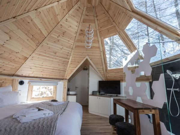 Alpin D'Hôme Hôtel & Spa : photo 5 de la chambre kota - cabane finlandaise