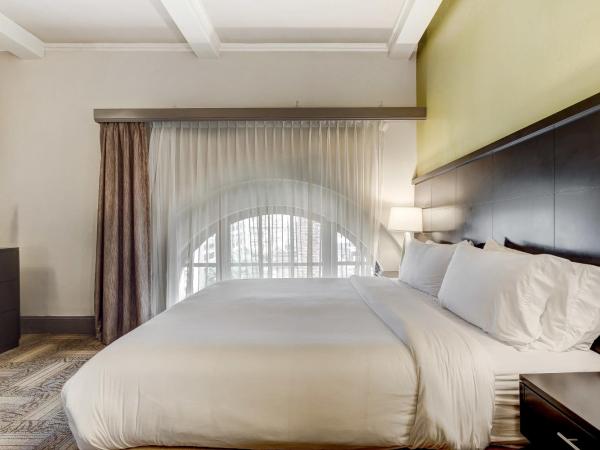 Staybridge Suites Baltimore - Inner Harbor, an IHG Hotel : photo 8 de la chambre suite 1 chambre lit king-size avec canapé-lit