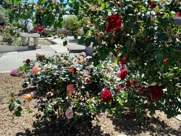 Room Bioci : photo 1 de la chambre chambre double avec lit d'appoint