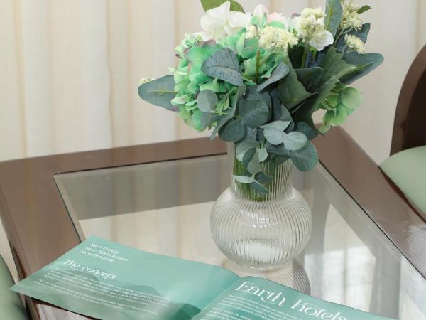 Earth Hotels : photo 1 de la chambre chambre supérieure lit queen-size