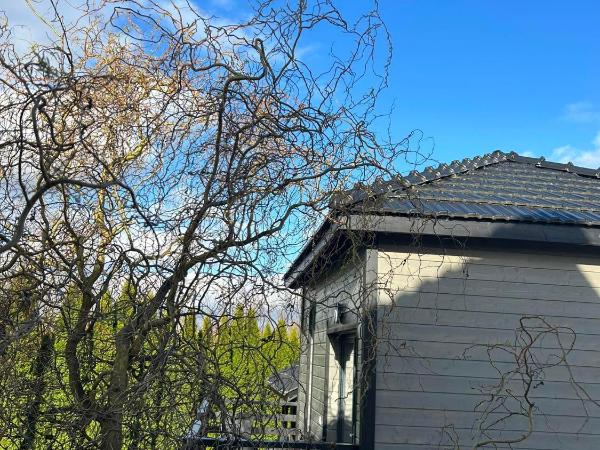Domki całoroczne nad zalewem : photo 4 de la chambre chalet 1 chambre