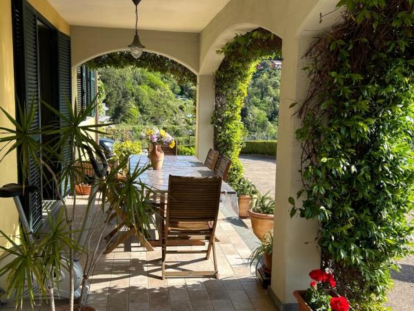 Gli Ulivi Di Montalbano : photo 9 de la chambre appartement avec terrasse