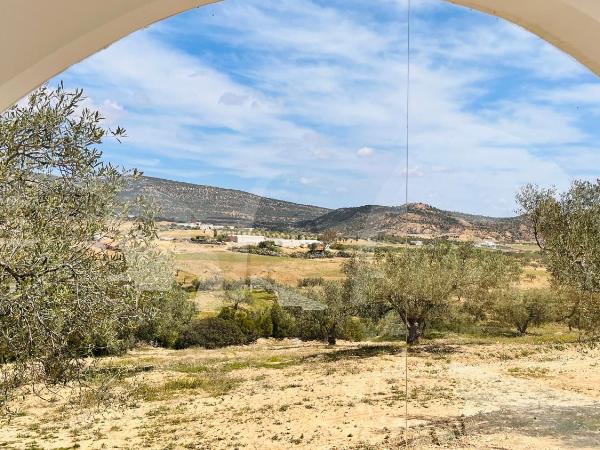 Villa a la montagne Hammamet : photo 7 de la chambre chambre lit king-size supérieure