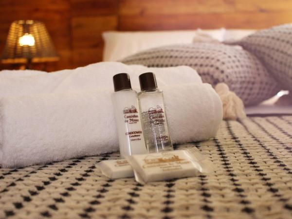 Pousada Caminhos de Minas Belo Horizonte : photo 1 de la chambre chambre triple confort