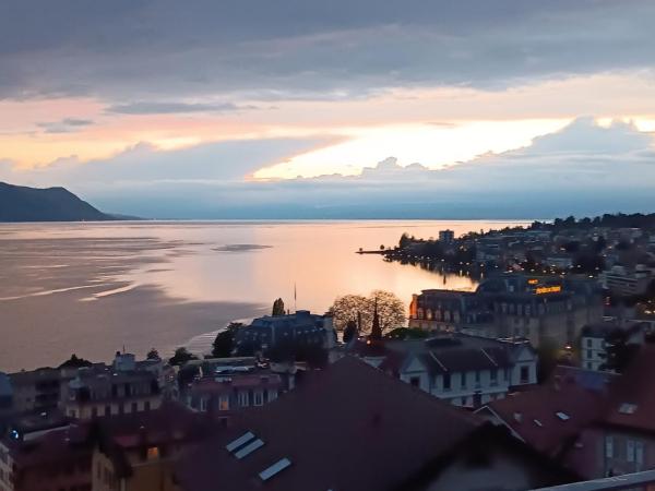 La plus belle vue du lac Léman : photo 6 de la chambre chambre double – vue sur lac