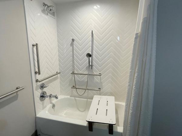 Holiday Inn Hotel & Suites Chicago - Downtown, an IHG Hotel : photo 3 de la chambre chambre avec 2 lits queen-size et baignoire accessible aux personnes à mobilité réduite