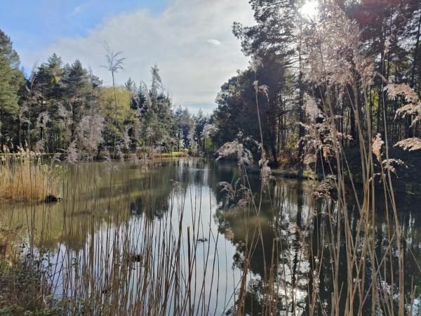 Domaine de Charnay - Résidence de charme : photo 10 de la chambre chambre lit king-size supérieure