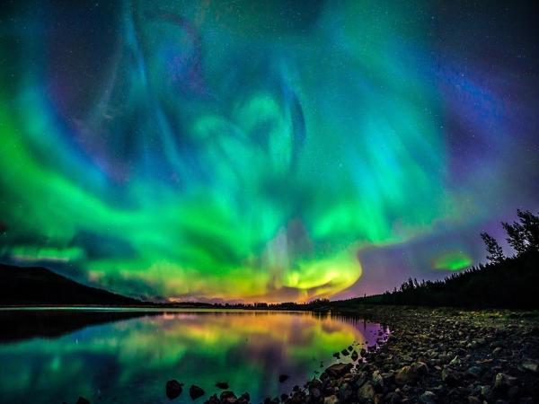 Fox Hotel : photo 4 de la chambre chambre familiale