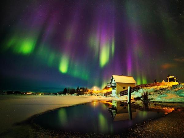 Fox Hotel : photo 3 de la chambre lit superposé dans dortoir mixte