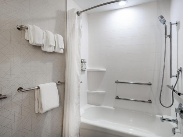 Holiday Inn Express and Suites Tampa I-75 at Bruce B. Downs, an IHG Hotel : photo 3 de la chambre suite lit king-size – non-fumeurs