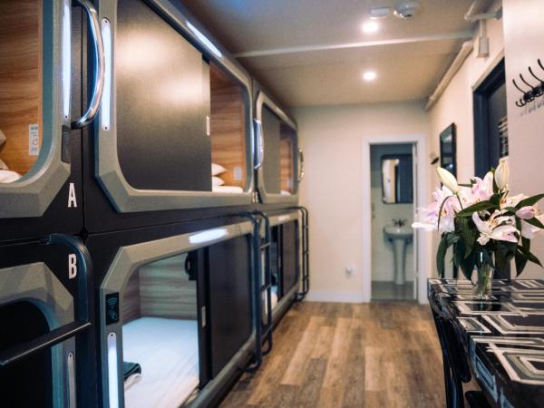 KAMA CENTRAL PARK : photo 2 de la chambre lit dans dortoir mixte de 6 lits