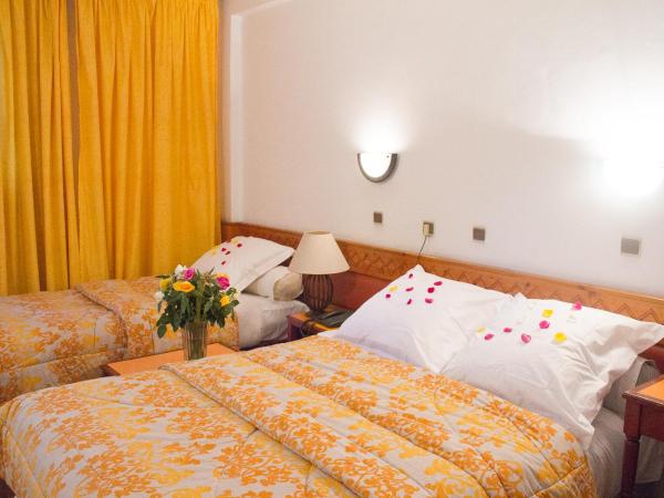 Hotel Sindibad : photo 3 de la chambre chambre double - vue sur jardin