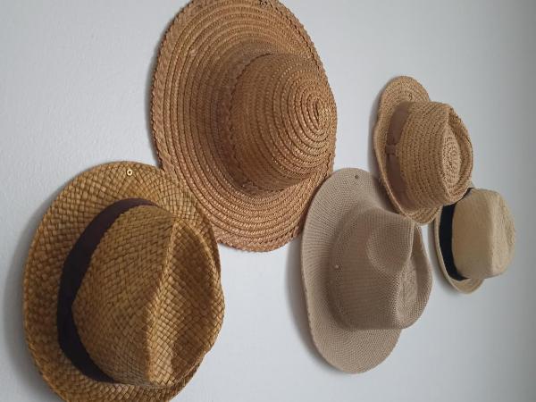 Les jardins de Mimizan : photo 3 de la chambre maison 2 chambres