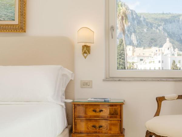 Hotel Syrene : photo 3 de la chambre chambre double ou lits jumeaux avec balcon - vue sur jardin