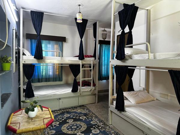 Dreamyard Udaipur : photo 4 de la chambre lit dans dortoir mixte de 4 lits