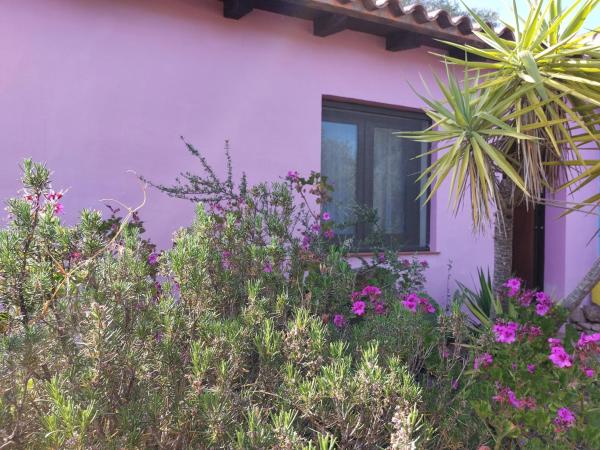 Agriturismo Agrisole : photo 1 de la chambre chambre double - vue sur jardin