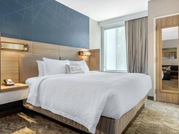 SpringHill Suites Charlotte Southwest : photo 2 de la chambre suite lit king-size et canapé-lit